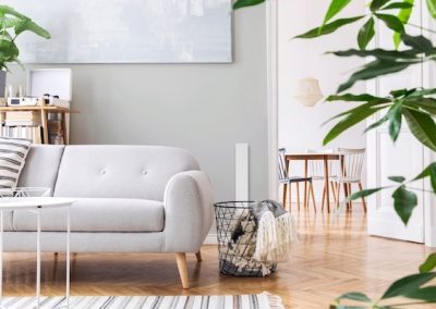 Schimmel Dry im Wohnzimmer